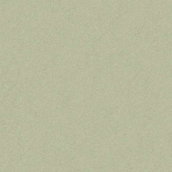 Bru Buru Plain Green Semi-Shading Material 3D Model