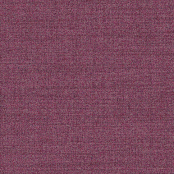 Brown Bru Red Wallpaper 3D Model