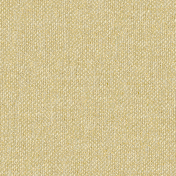 bru Buru_plain surface_golden_texture_Casual