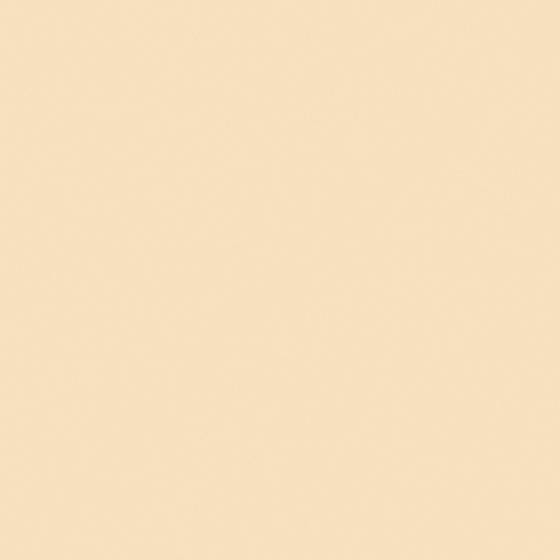 CP Wheat Color Wall Paint 3D Model for Cozy Interiors