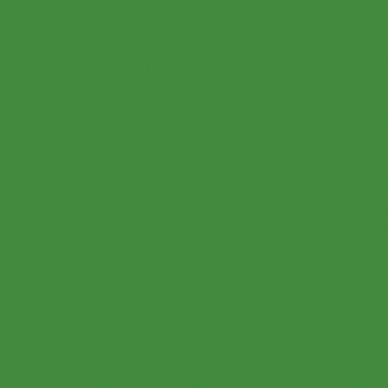 Green CP 26GR50-52 Robin Hood Paint