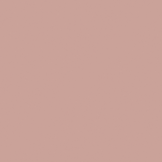 Stylish CP 86RD19-69 Golden Nanmu 3D Model in Brown