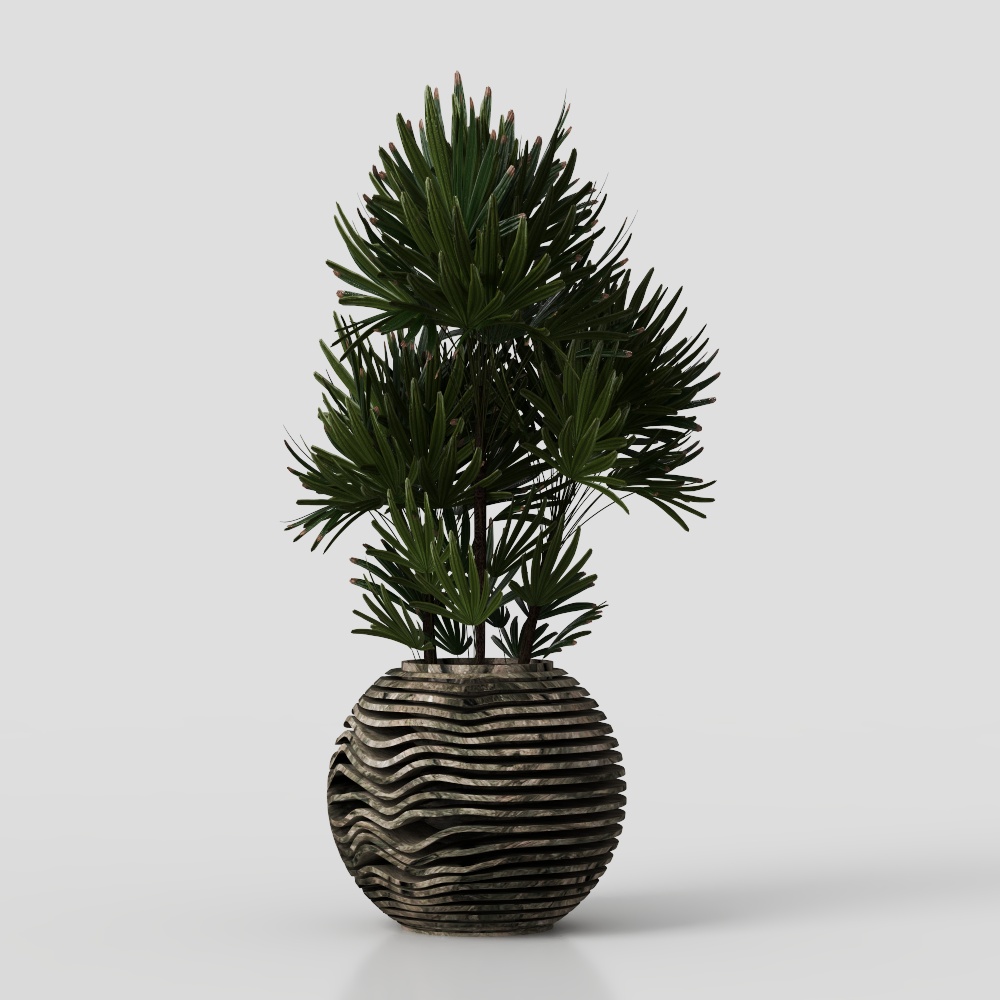 绿植盆栽