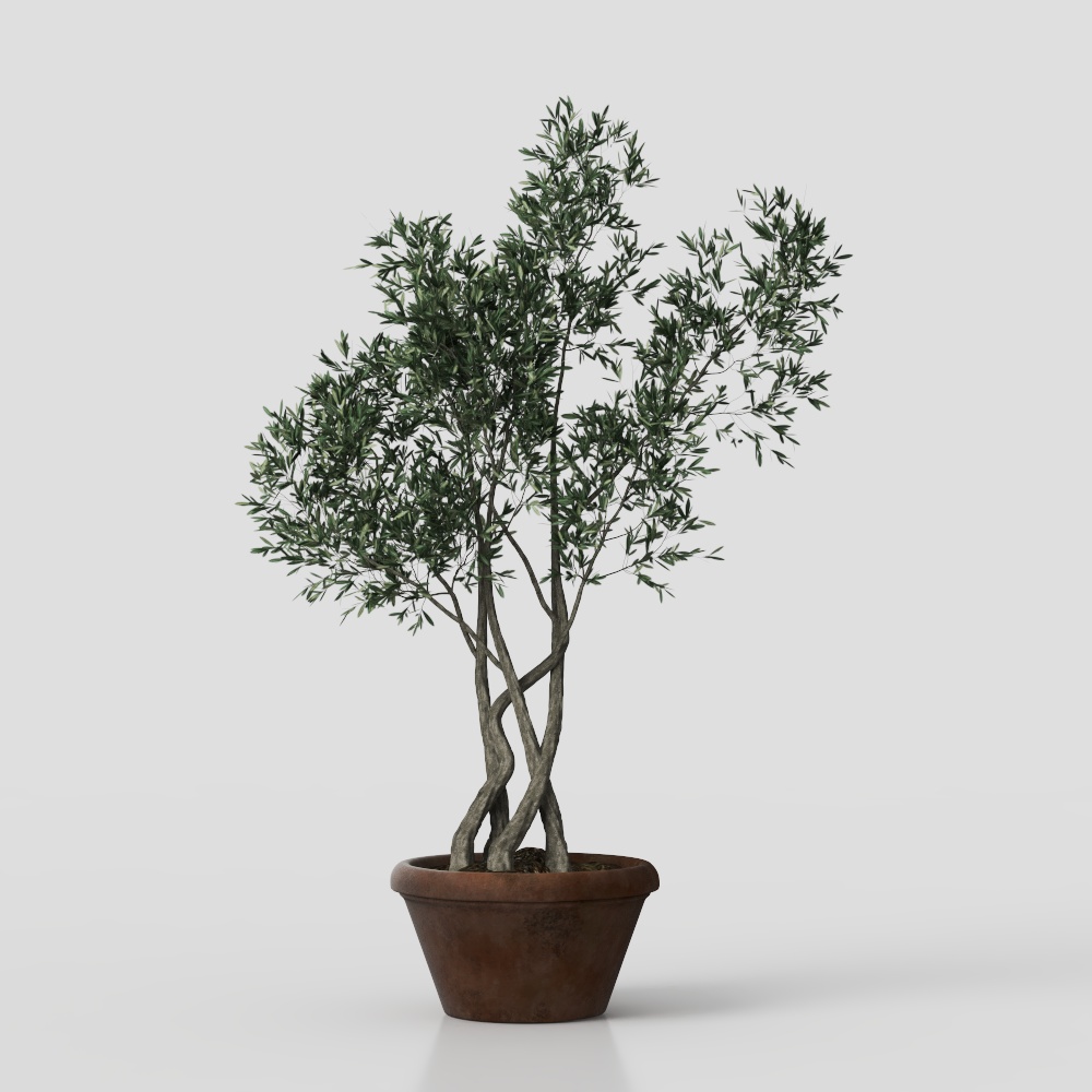 侘寂风绿植盆栽