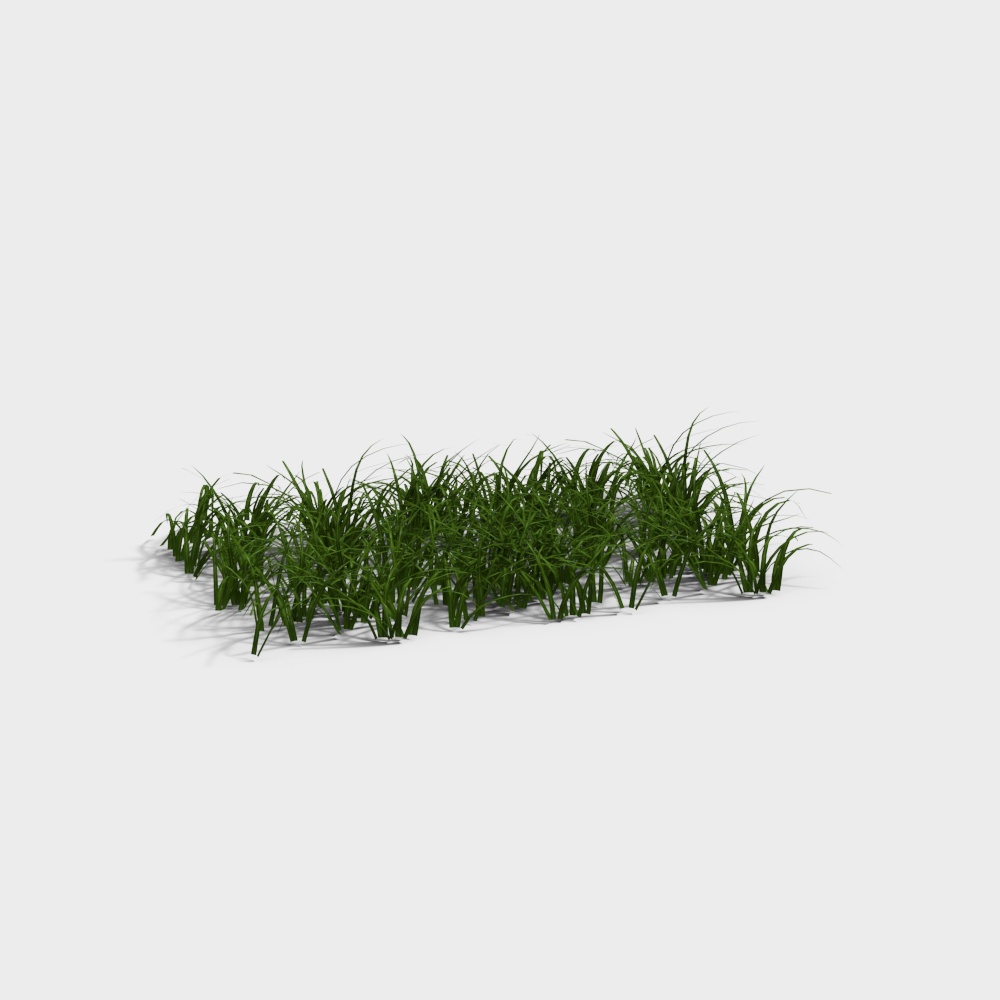 草皮2