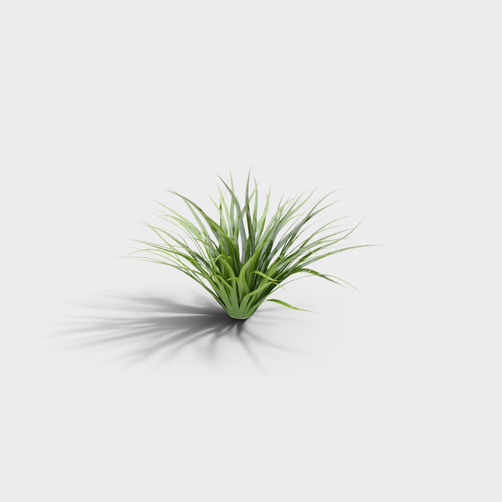 35-景观草