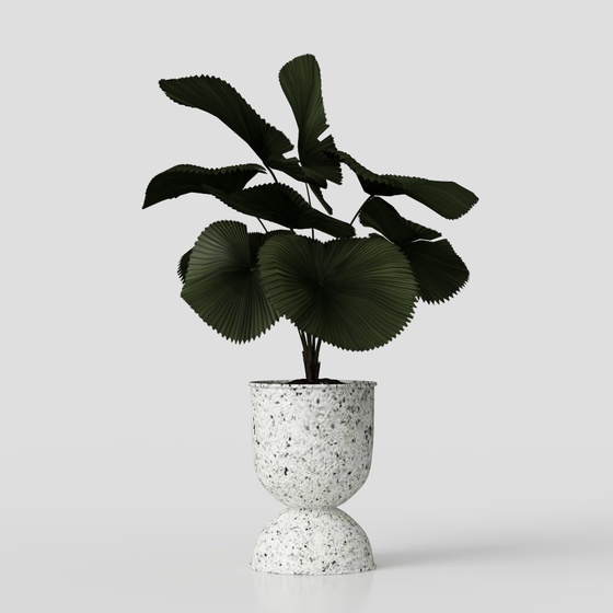 Scandinavian Plants,Plants,Black