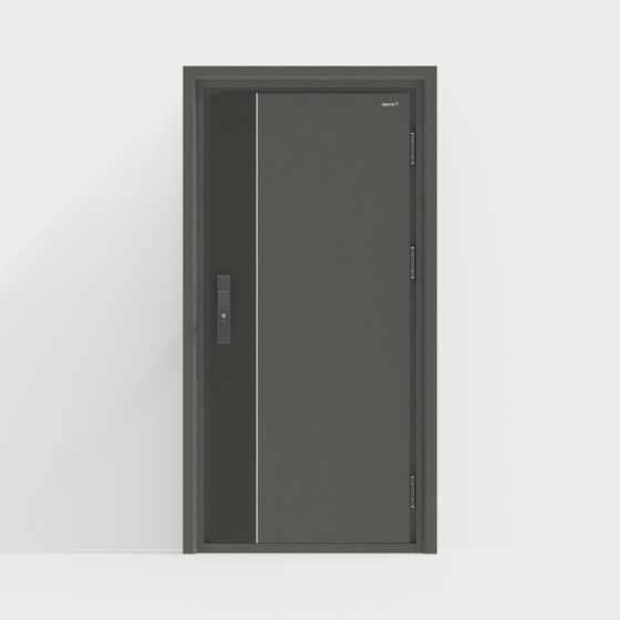Modern Exterior Doors,Gray