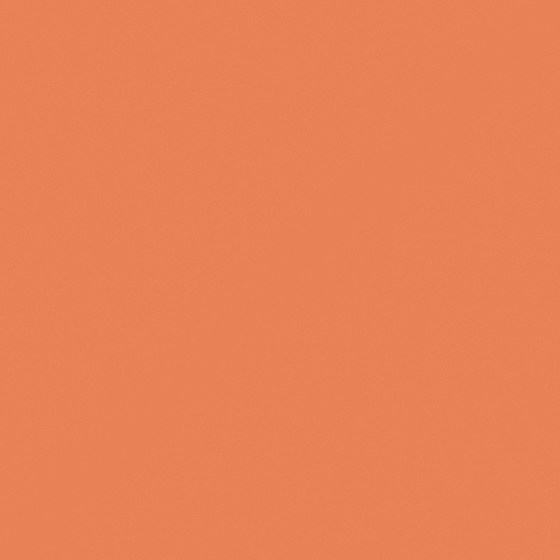 Earth Color Wall Paint - 750 Carrot