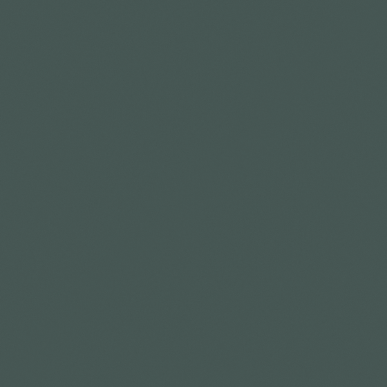 Earth Color CP 19BG05-37 Quiet Woods
