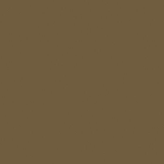 Earthy CP 10YL19-42 Brown Hemp Paint 3D Model