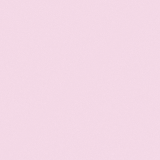 Pink CP 31RD15-86 Dog Rose Wall Paint 3D Model