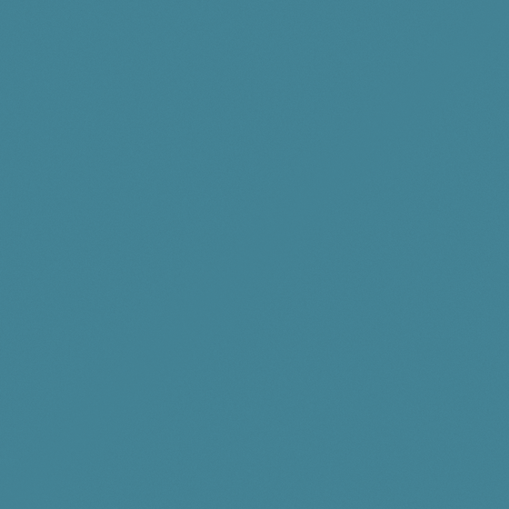 Blue Jay Wall Paint 3D Model for Creative Interiors