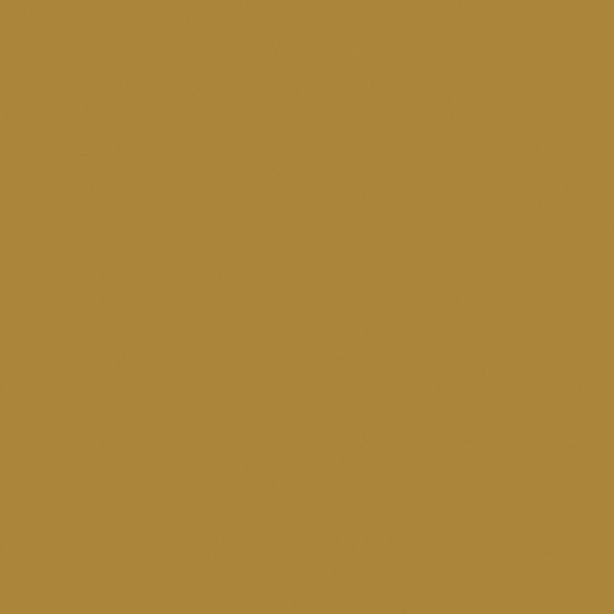 CP 28YL43-58 Mayan Gold in Brown