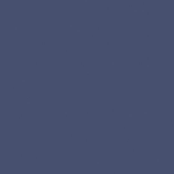 CP 26BR19-36 Blueberry Pie