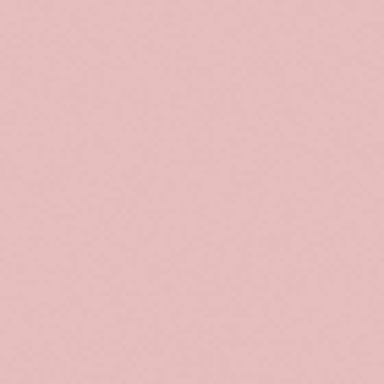 CP 68RD19-78 starfish powder