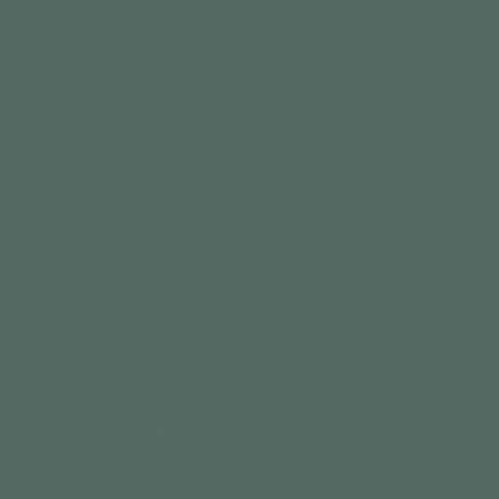 Spruce Island Paint 3D Model in Gray