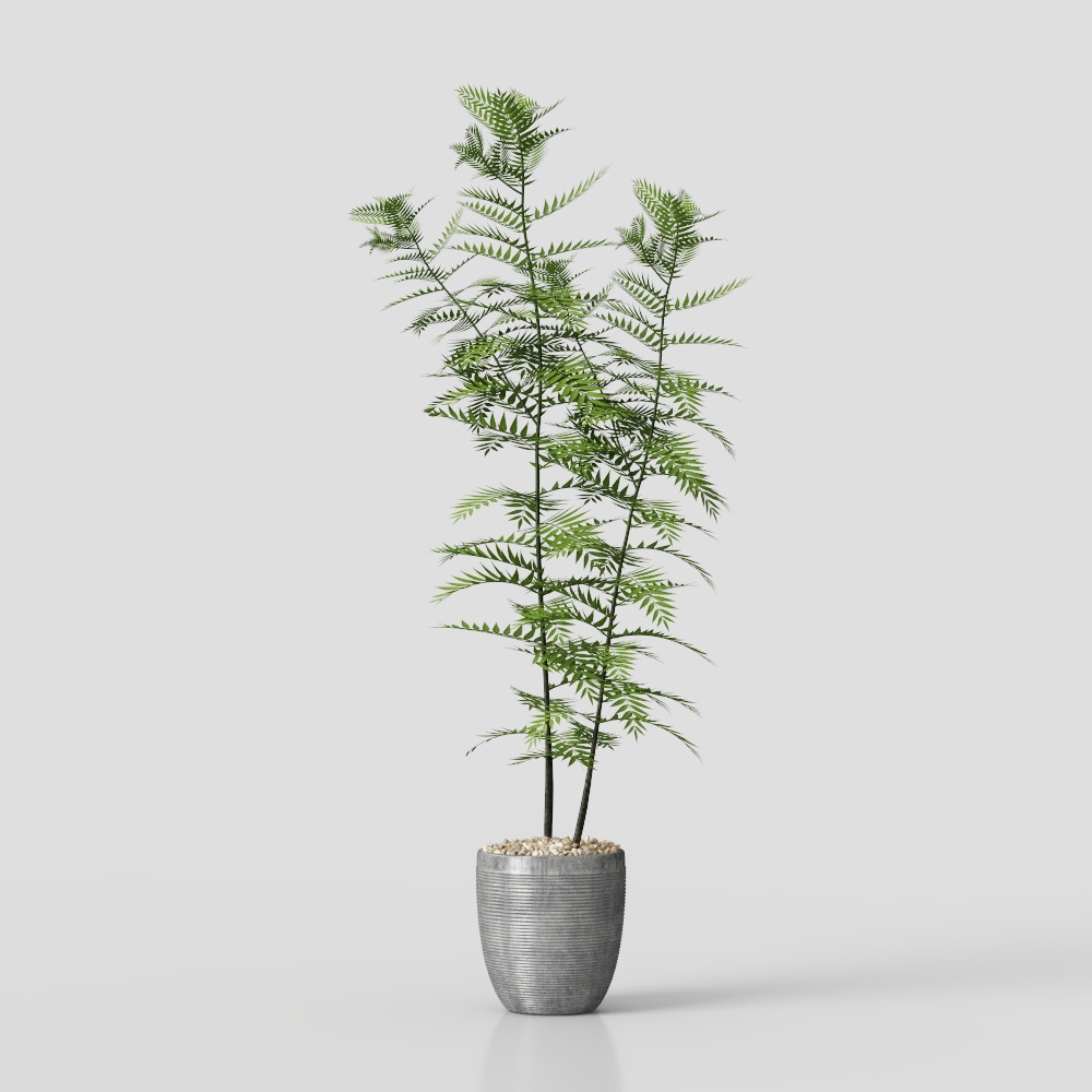 绿植3D模型