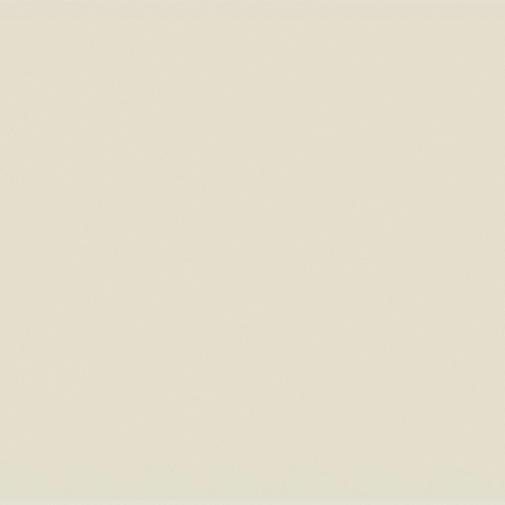 Beige Wall Paints/Coatings 3D Model