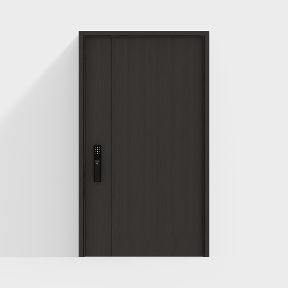 Modern Exterior Doors,Black