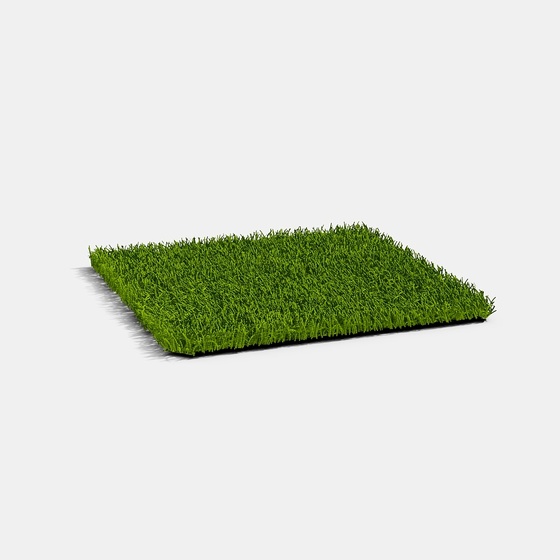 lawn carpet