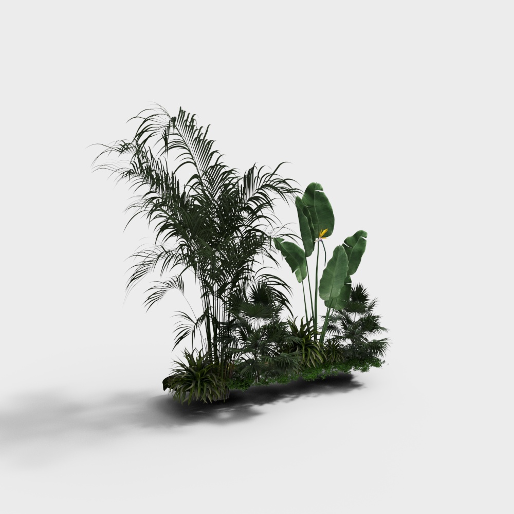 植物景2
