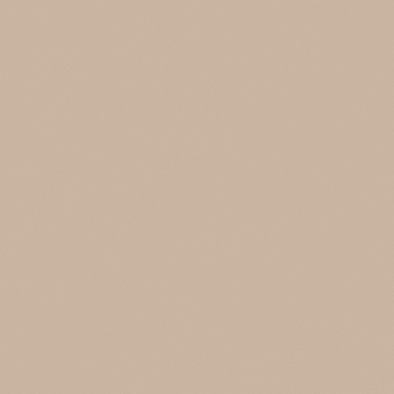 Wood Color Wall Paints/Coatings 3D Model