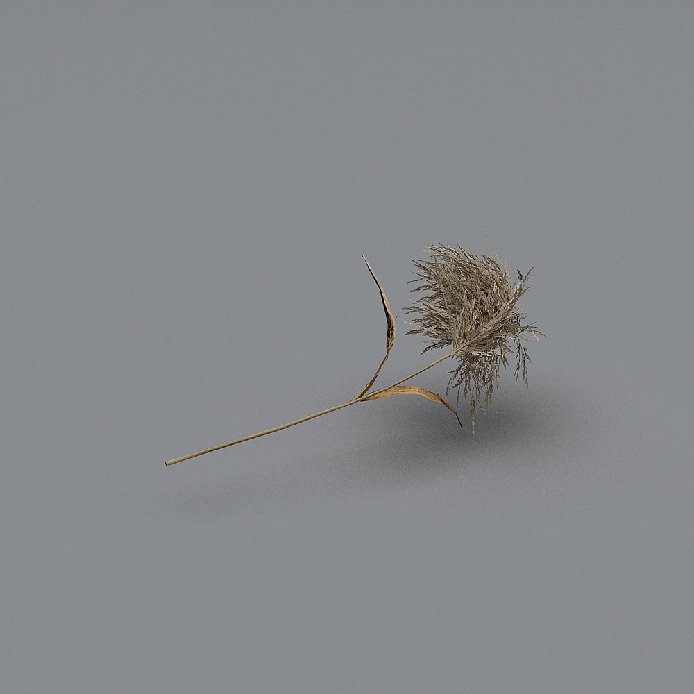 干花