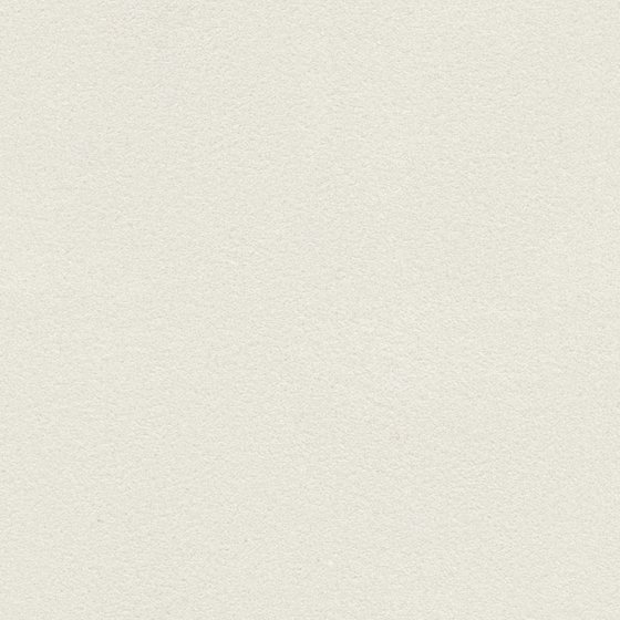 Gray Wall Paint 3D Model for Elegant Interiors