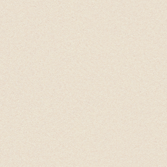 Beige Wall Paint/Paint 3D Model
