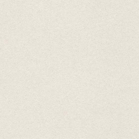 Gray Wall Paint 3D Model for Contemporary Interiors