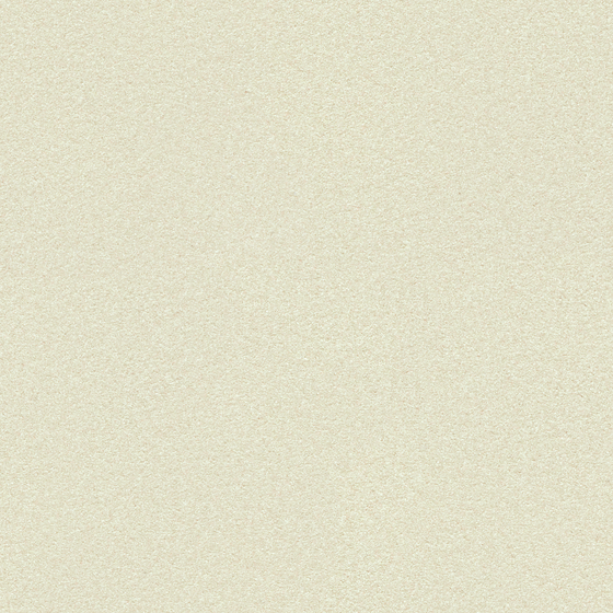 Wall Paint 3D Model in Wood Color