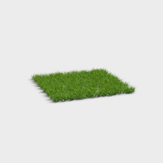 Lawn_Medium Green