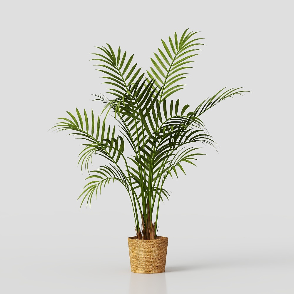 maisons du monde Plant