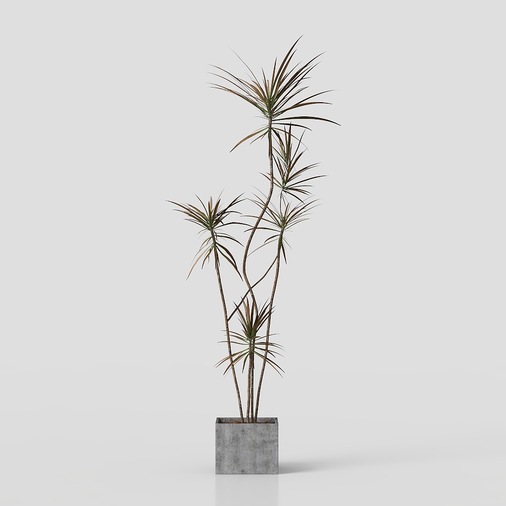 侘寂绿植摆件
