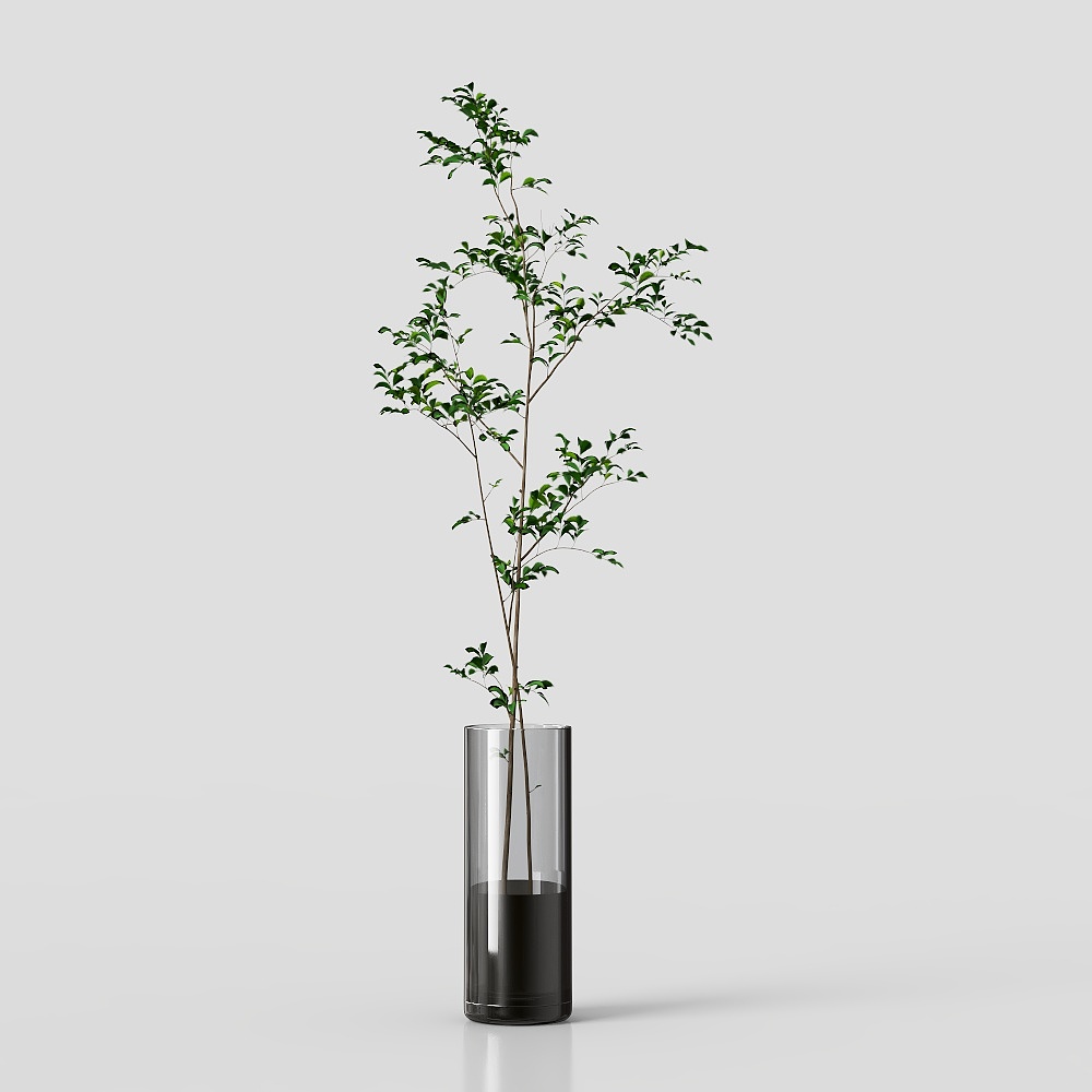 现代绿植摆件