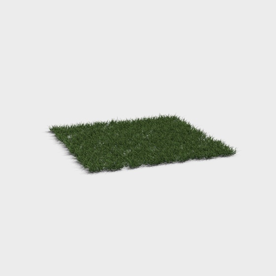 Turf-rough grass