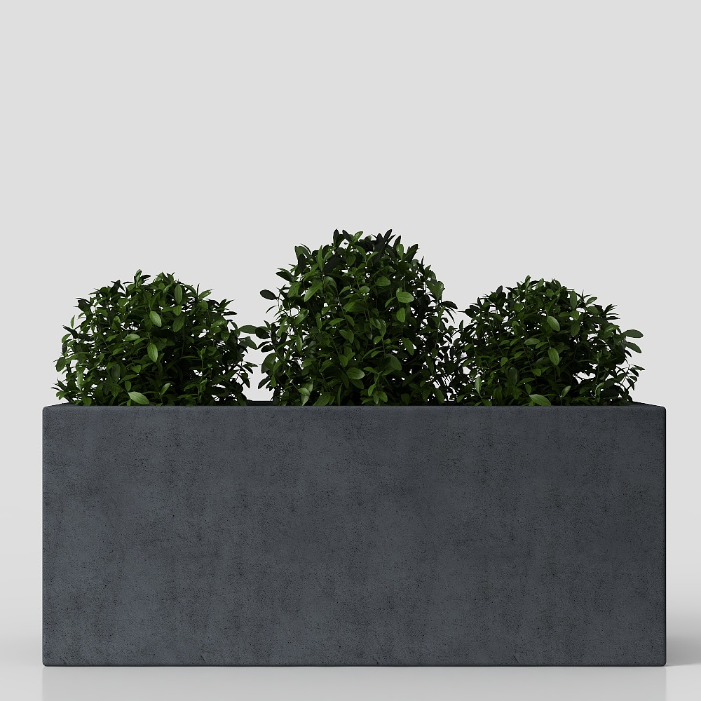乐园现代植物花架