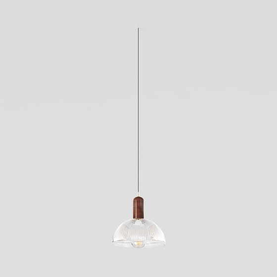 Modern Pendant Lamp