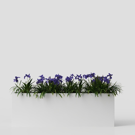 Modern flower bed potted plants