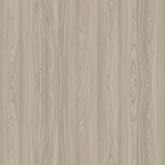 Walnut 3D Model in Gray