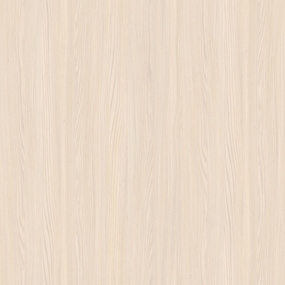Swedish Elm 3D Model in Beige