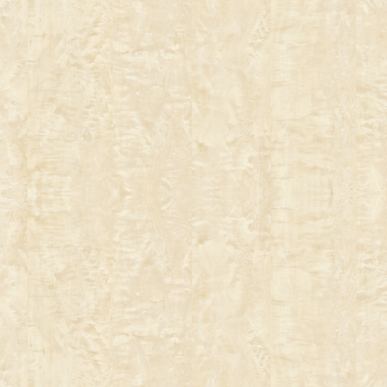 White maple