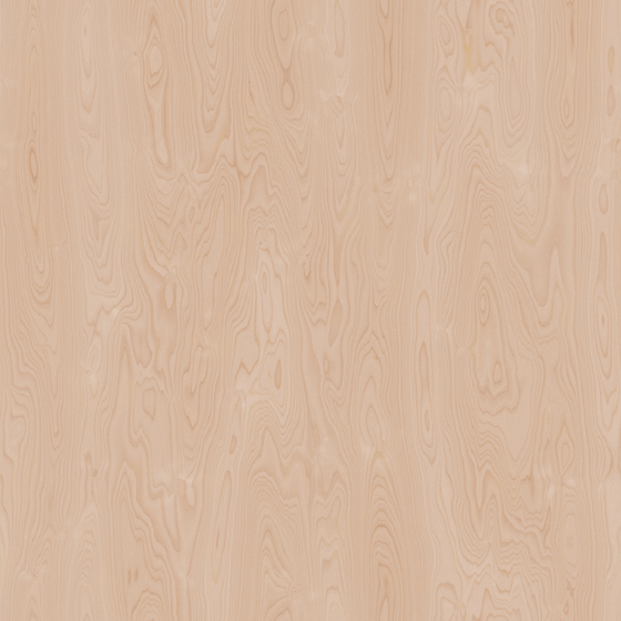 Wood Grain High Gloss 4K Material 3D Model in Earth Color
