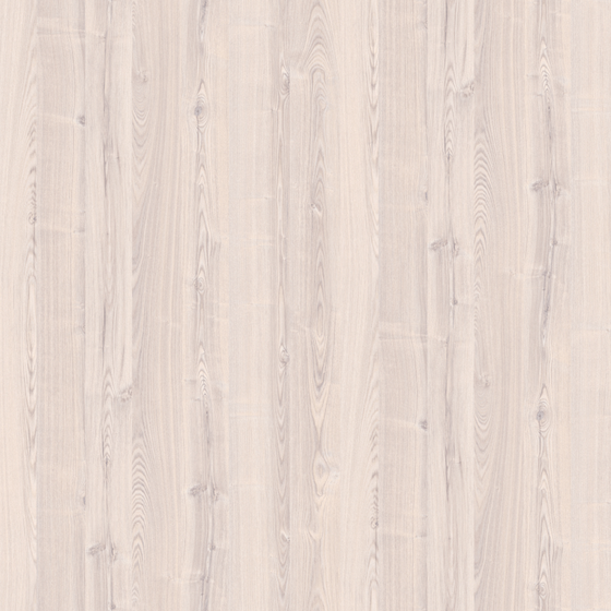 Walnut 3D Model in Earth Color