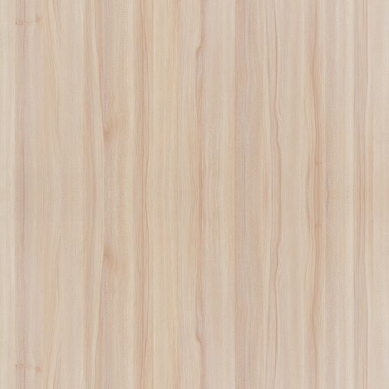 Maple