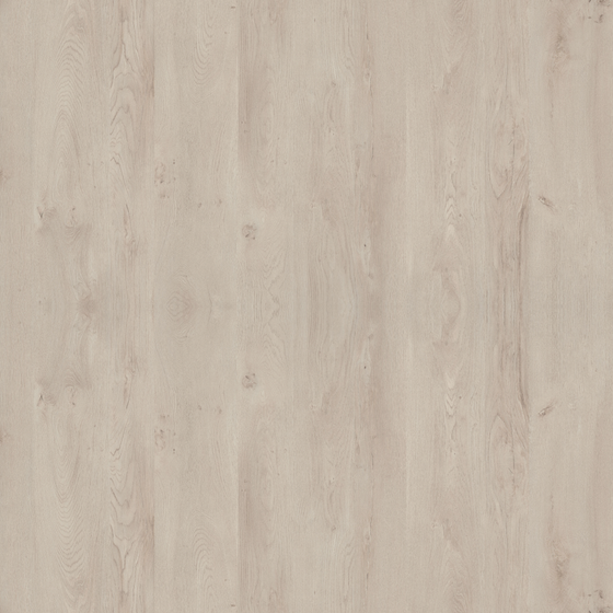 Oak Matte Material in Earth Color