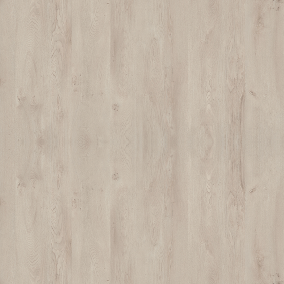 Oak High Gloss 3D Model in Earth Color