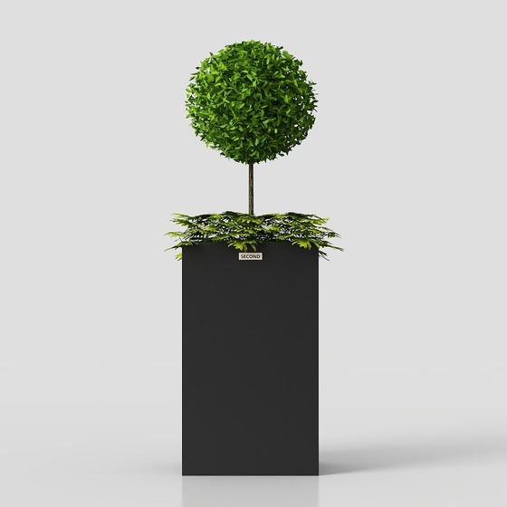 Modern outdoor green plant flower box