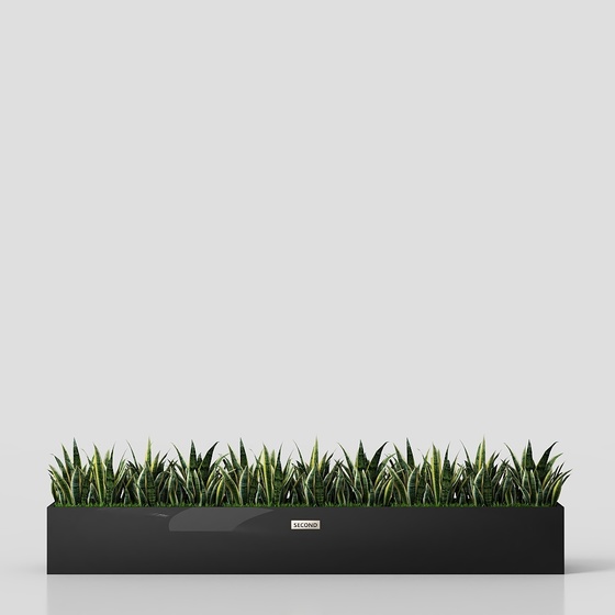 Modern outdoor green plant flower box